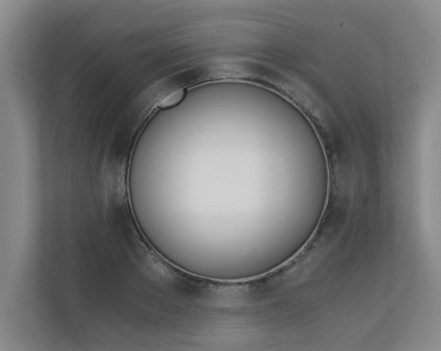 X0000110670889200906191343