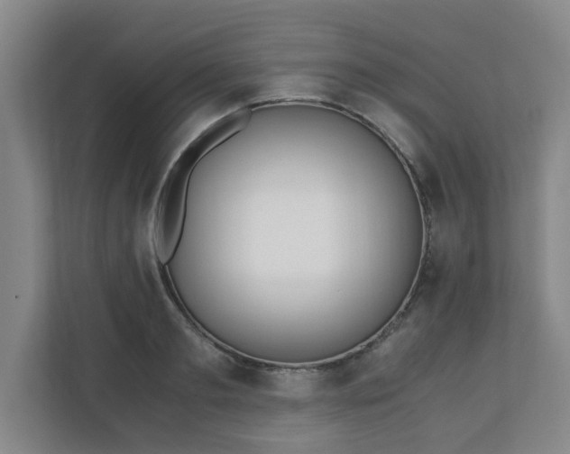 X0000110670893200906191343
