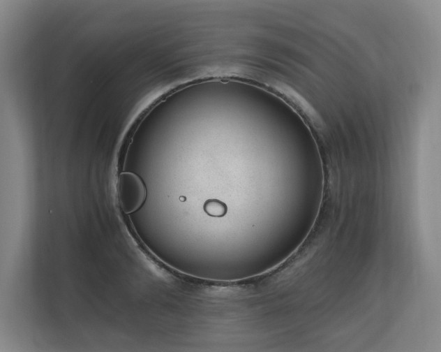 X0000110670894200906191343