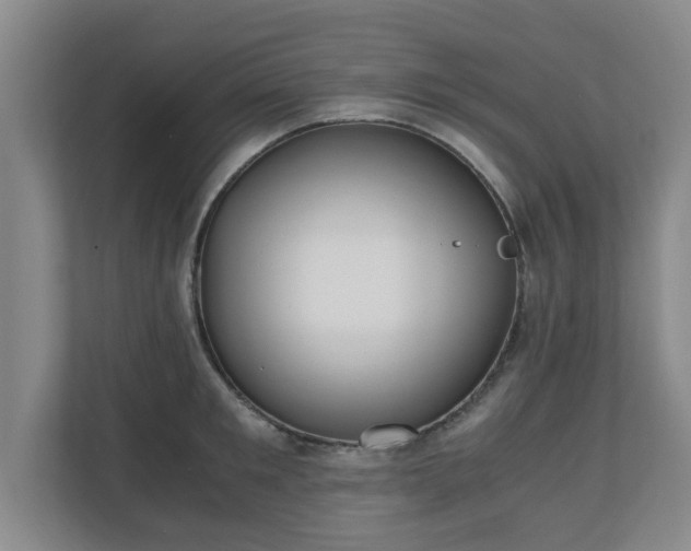 X0000110670901200906191343
