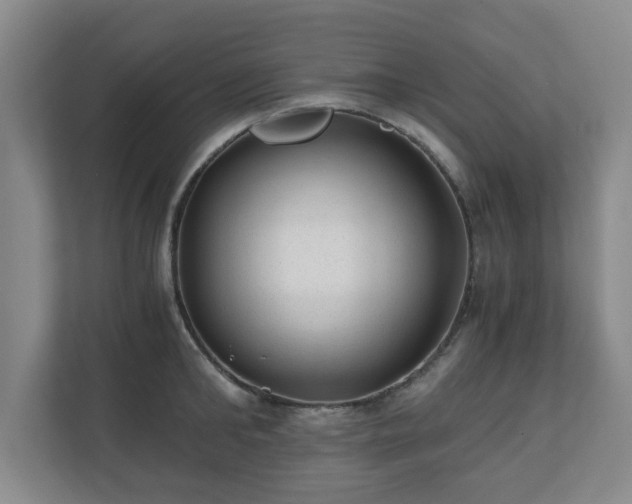 X0000110670902200906191343