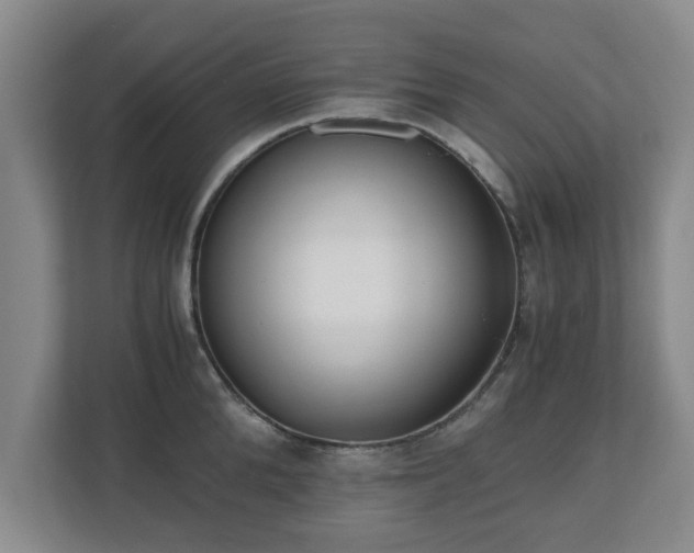 X0000110670904200906191342