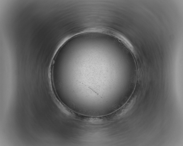 X0000110670907200906191342