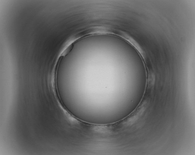 X0000110670909200906191342