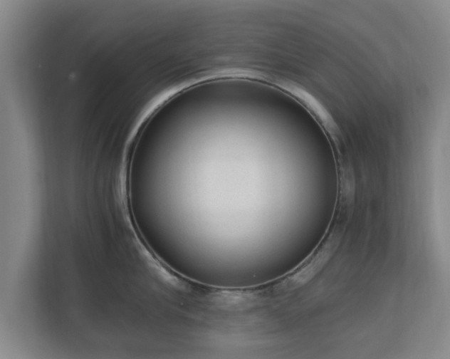 X0000110670910200906191342
