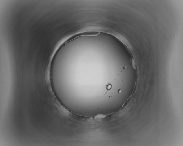 X0000110670912200906191342