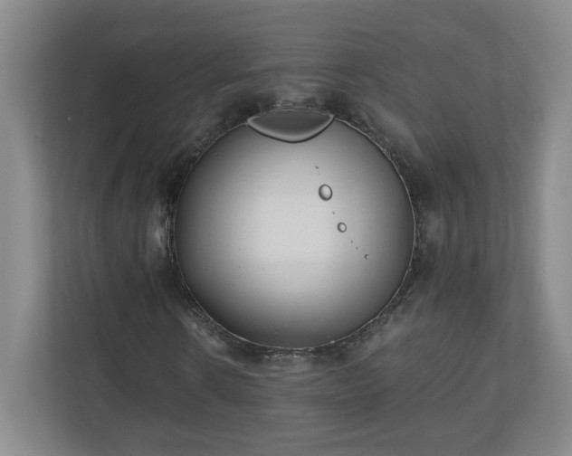 X0000110670914200906191342
