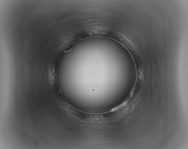 X0000110670915200906191342