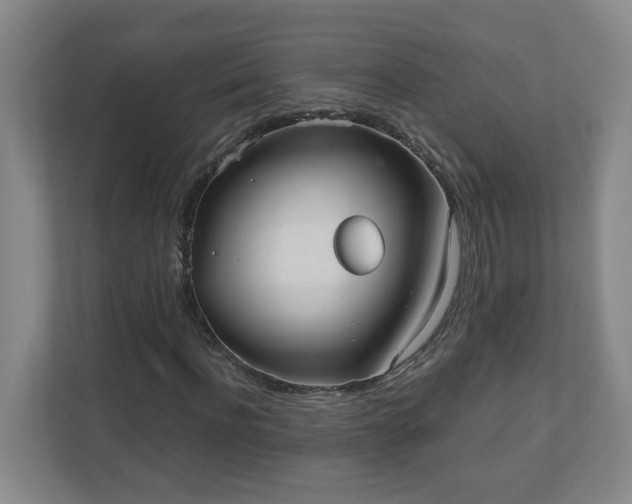 X0000110670916200906191342