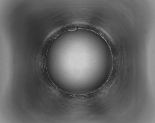 X0000110670919200906191342