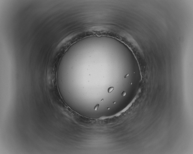 X0000110670920200906191342