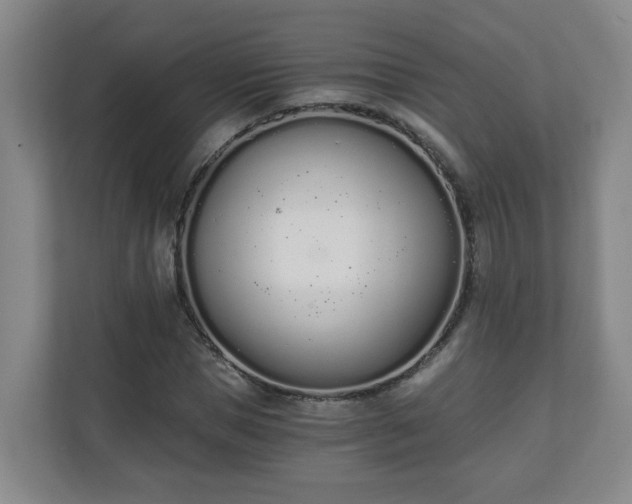 X0000110670921200906191342