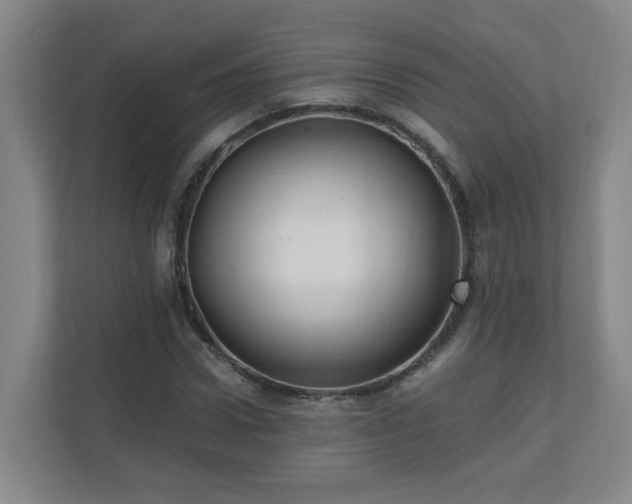 X0000110670922200906191342