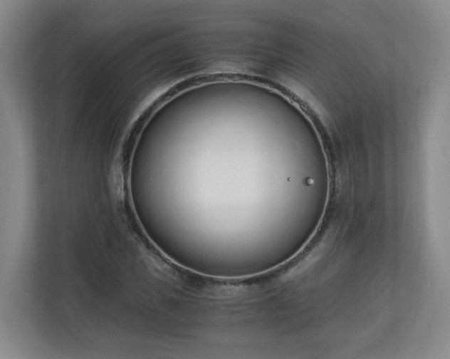 X0000110670925200906191342