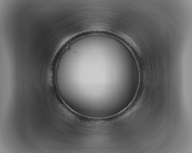 X0000110670926200906191342
