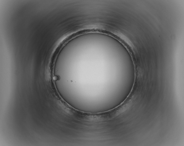 X0000110670927200906191342