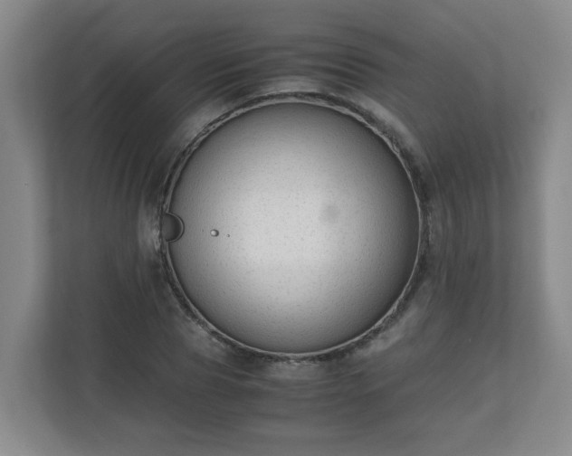 X0000110670929200906191342