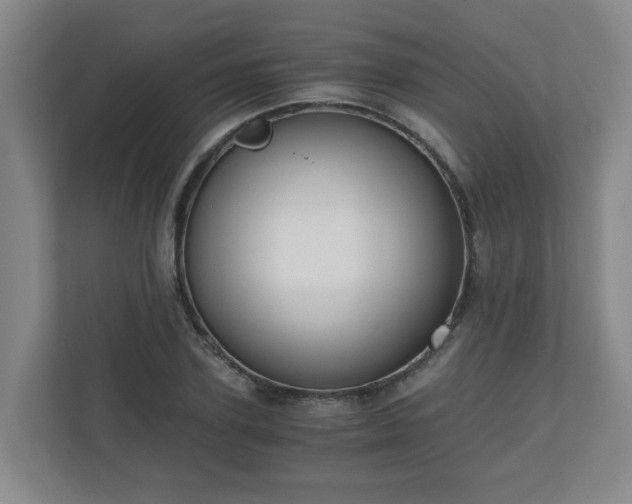 X0000110670931200906191342