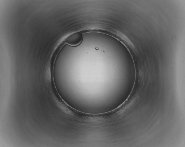 X0000110670934200906191342