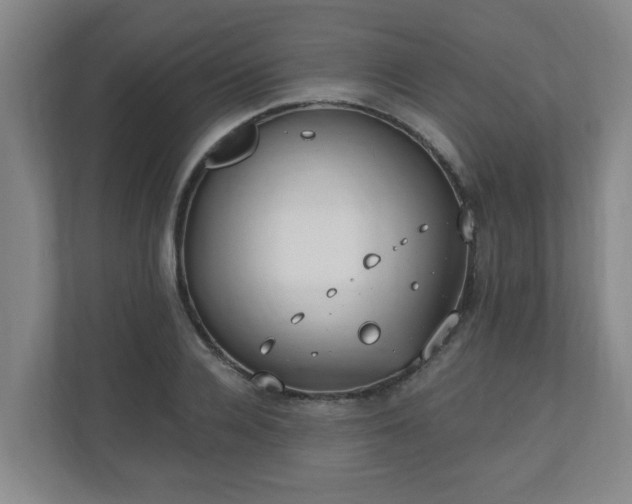 X0000110670936200906191342