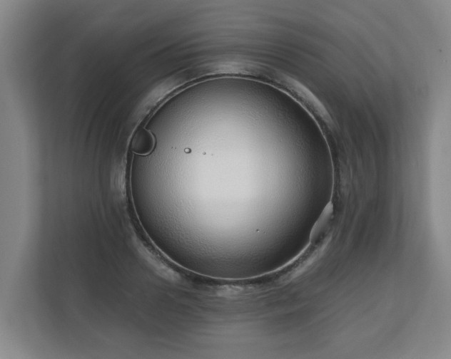 X0000110670938200906191342