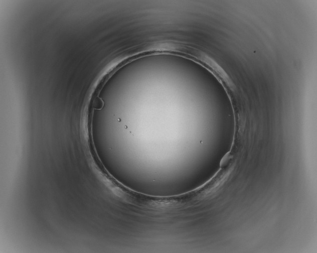 X0000110670939200906191342