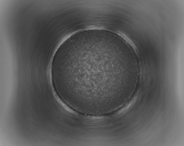 X0000110670941200906191342