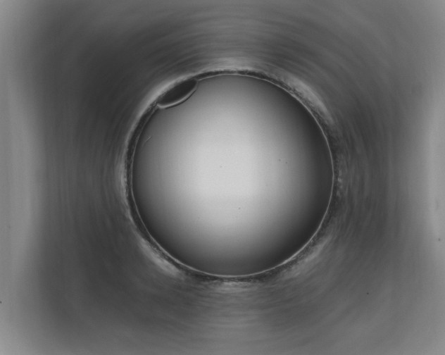 X0000110670942200906191342