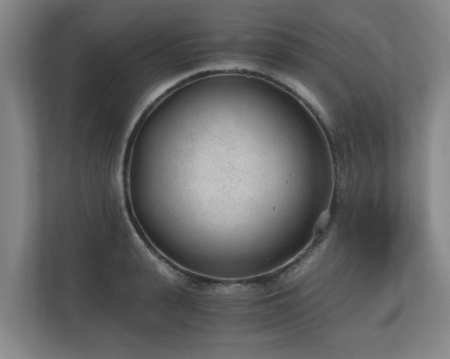 X0000110670943200906191342