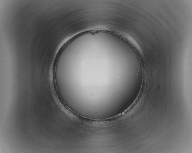 X0000110670944200906191342