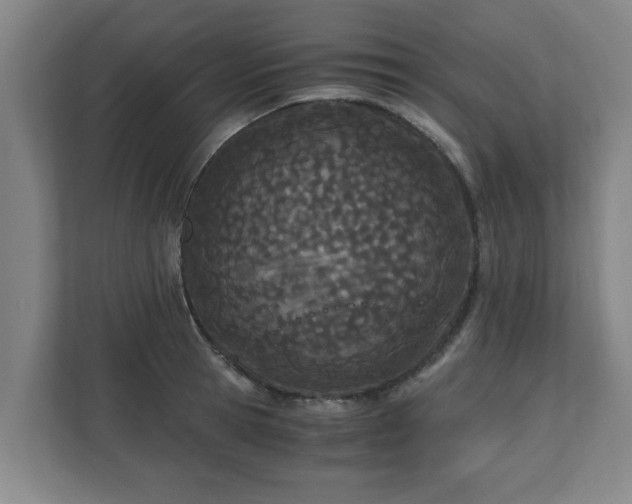 X0000110670945200906191342