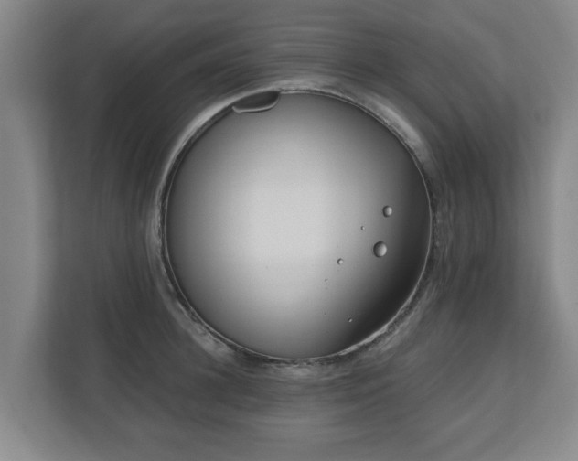 X0000110670948200906191342