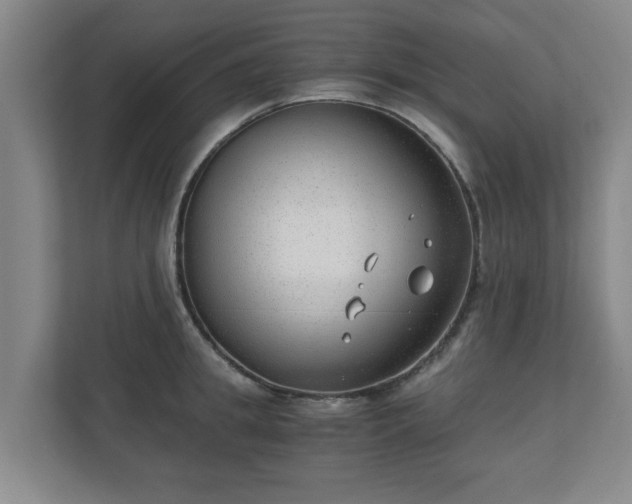 X0000110670949200906191342