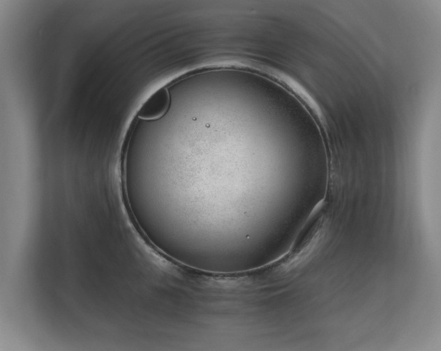 X0000110670951200906191342