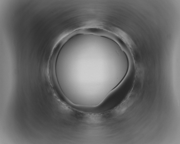 X0000110670952200906191342