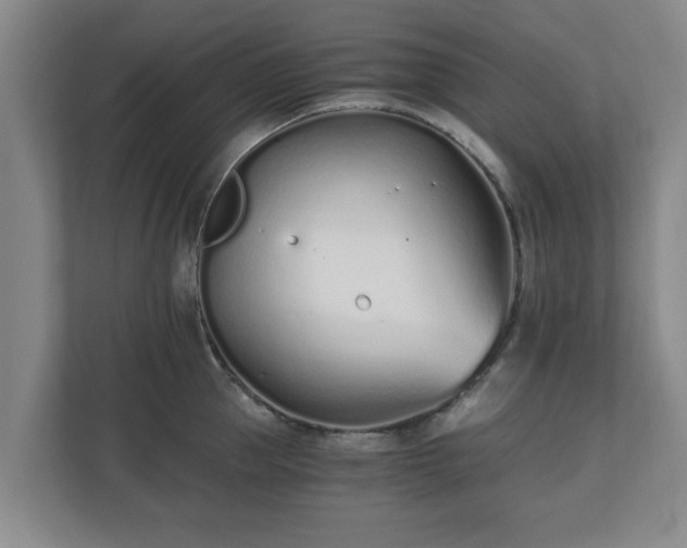 X0000110670953200906191342