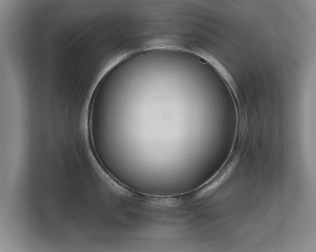 X0000110670957200906191342