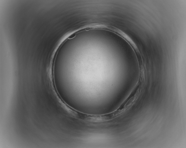 X0000110670959200906191342