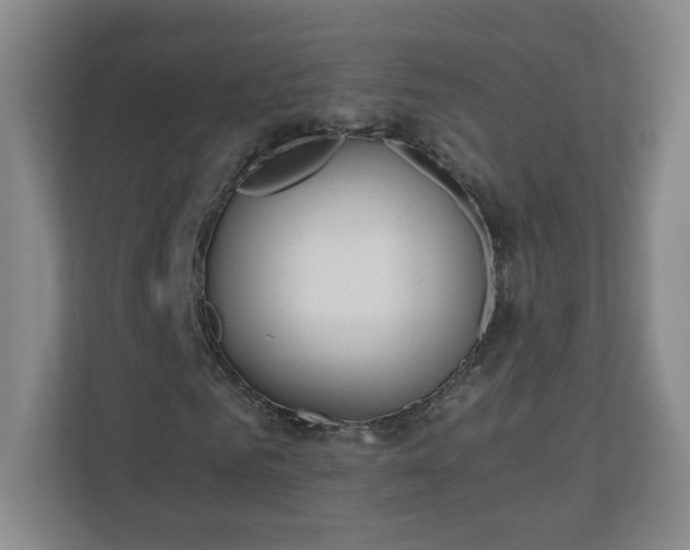 X0000110670961200906191342
