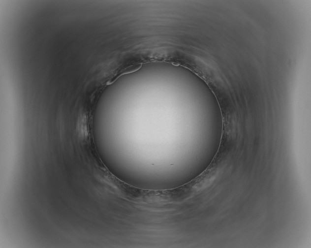 X0000110670962200906191342