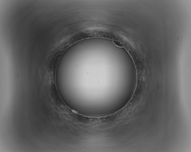 X0000110670965200906191342