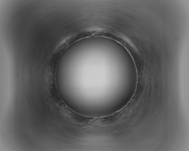 X0000110670967200906191342