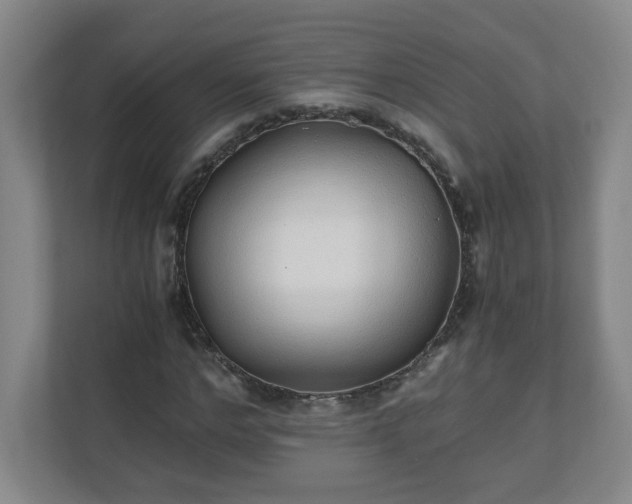 X0000110670968200906191342