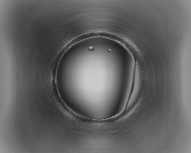X0000110670969200906191342