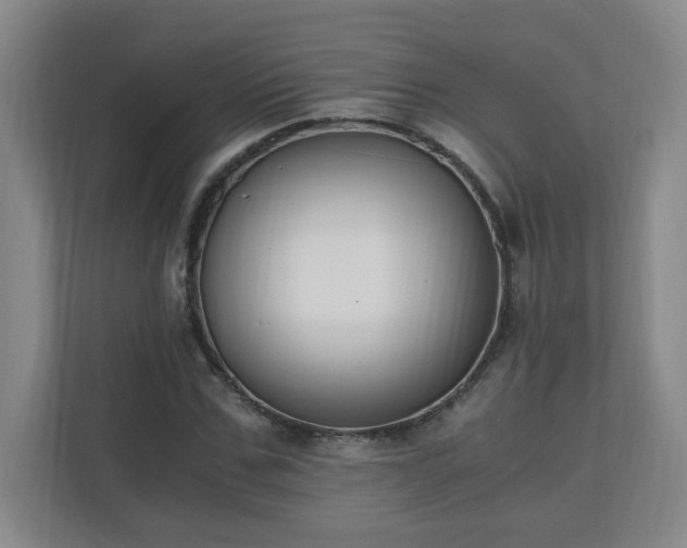 X0000110670971200906191342
