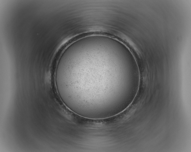 X0000110670975200906191342