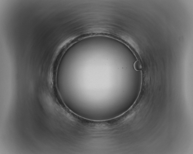 X0000110670979200906191342