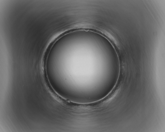 X0000110670981200906191341