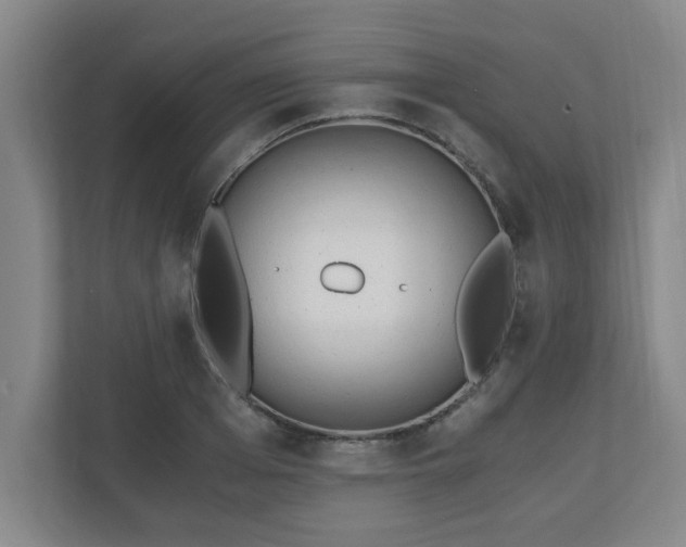 X0000110670985200906191341