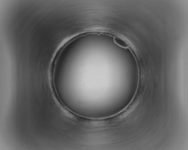 X0000110670989200906191341